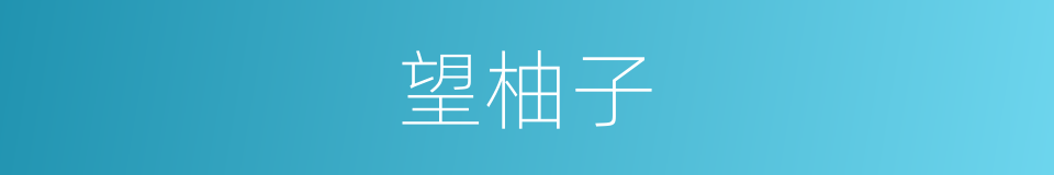 望柚子的同义词