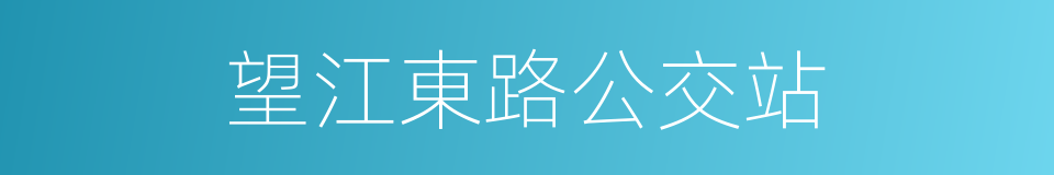 望江東路公交站的同義詞