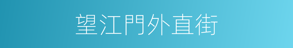 望江門外直街的同義詞