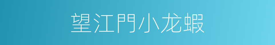 望江門小龙蝦的同義詞