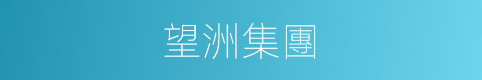 望洲集團的同義詞