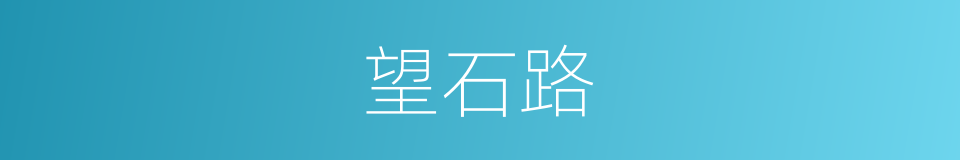 望石路的同义词