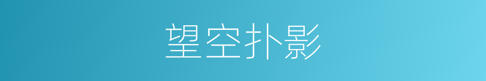 望空扑影的同义词