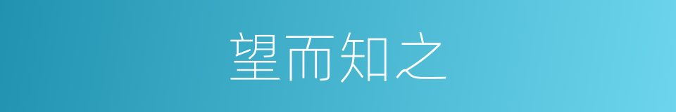 望而知之的同义词