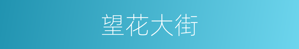 望花大街的同义词
