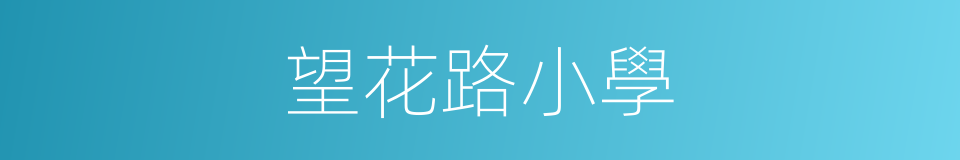 望花路小學的同義詞