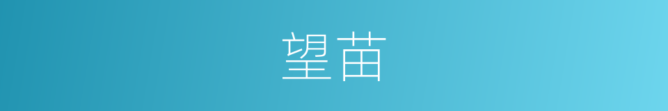 望苗的同义词
