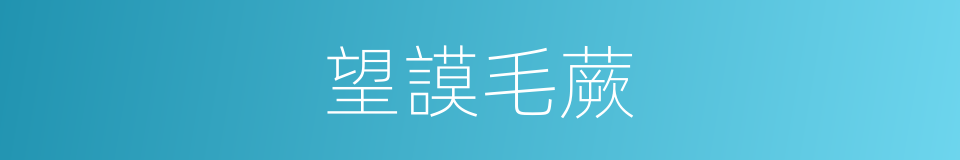 望謨毛蕨的同義詞