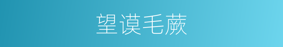 望谟毛蕨的同义词