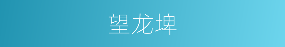 望龙埤的同义词