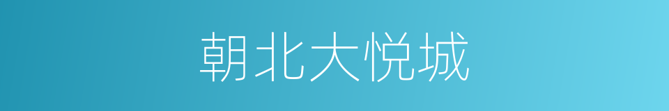 朝北大悦城的同义词