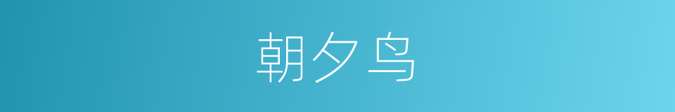 朝夕鸟的意思