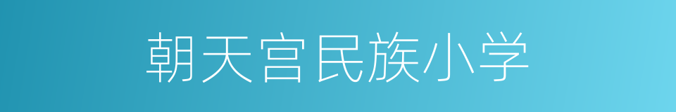 朝天宫民族小学的同义词