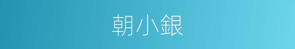 朝小銀的同義詞