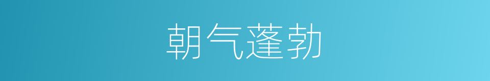 朝气蓬勃的意思