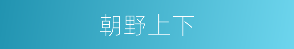 朝野上下的意思