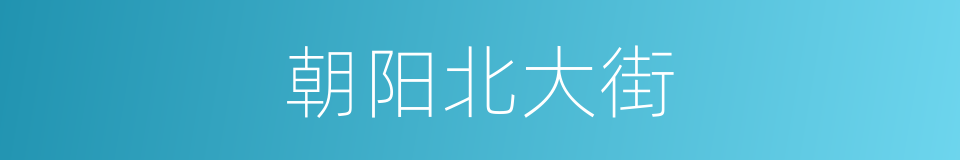 朝阳北大街的同义词