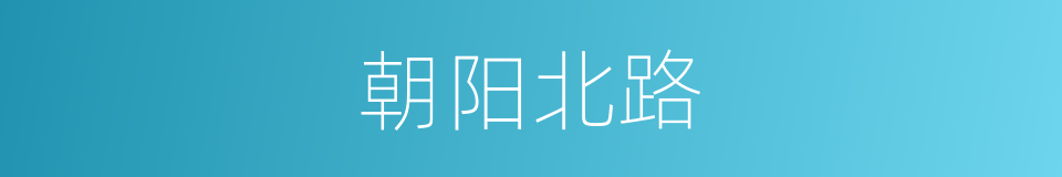 朝阳北路的同义词