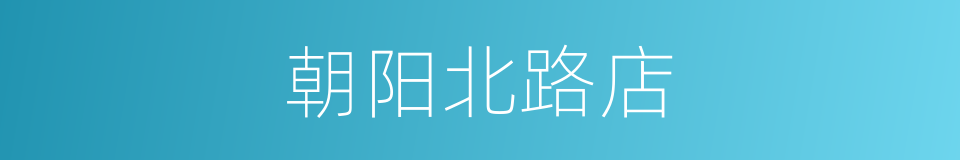 朝阳北路店的同义词