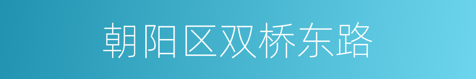 朝阳区双桥东路的同义词
