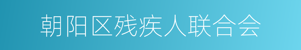 朝阳区残疾人联合会的同义词