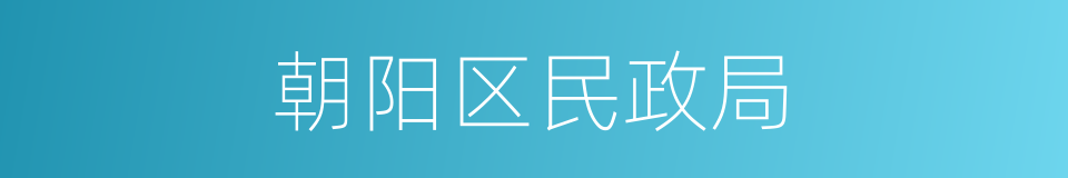 朝阳区民政局的同义词