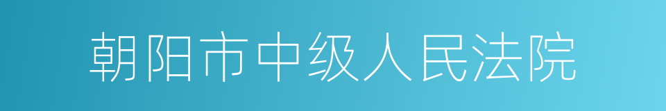 朝阳市中级人民法院的同义词