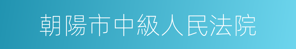 朝陽市中級人民法院的同義詞