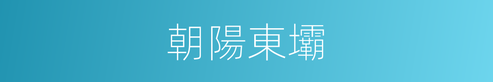 朝陽東壩的同義詞