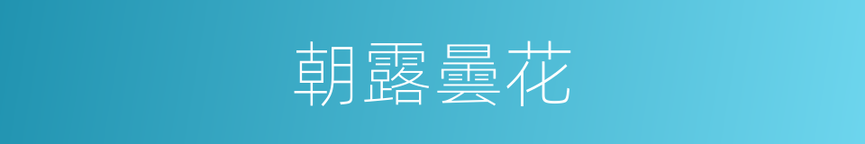 朝露曇花的意思