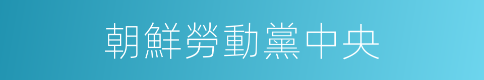 朝鮮勞動黨中央的同義詞