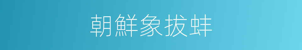 朝鮮象拔蚌的同義詞