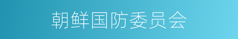 朝鲜国防委员会的同义词