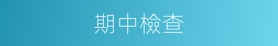 期中檢查的同義詞