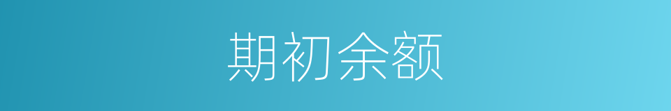 期初余额的同义词