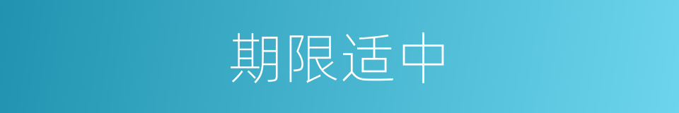 期限适中的同义词