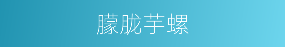 朦胧芋螺的同义词
