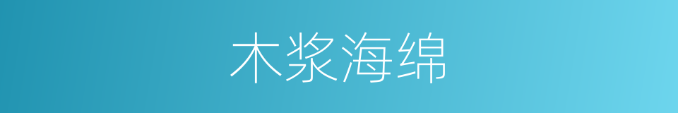 木浆海绵的同义词