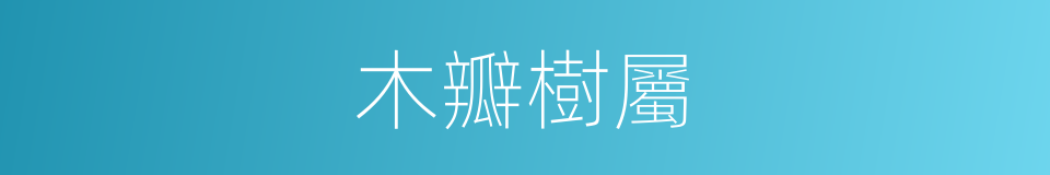 木瓣樹屬的同義詞