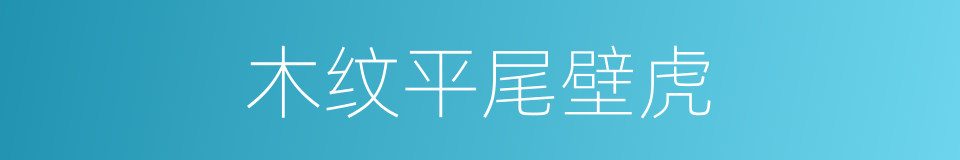 木纹平尾壁虎的同义词
