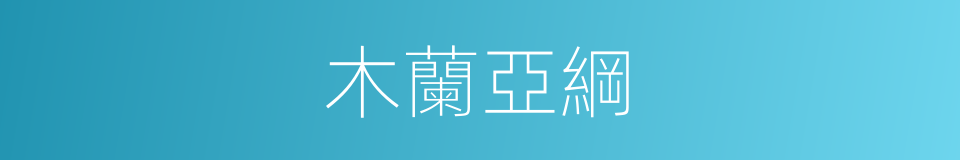 木蘭亞綱的同義詞