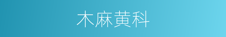 木麻黄科的同义词