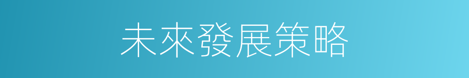 未來發展策略的同義詞