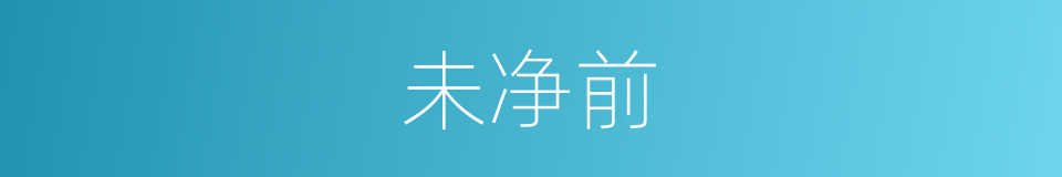 未净前的同义词