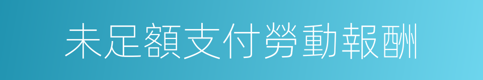 未足額支付勞動報酬的同義詞