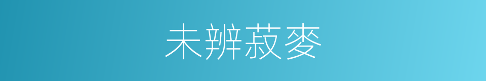 未辨菽麥的同義詞