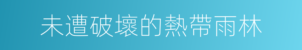 未遭破壞的熱帶雨林的同義詞