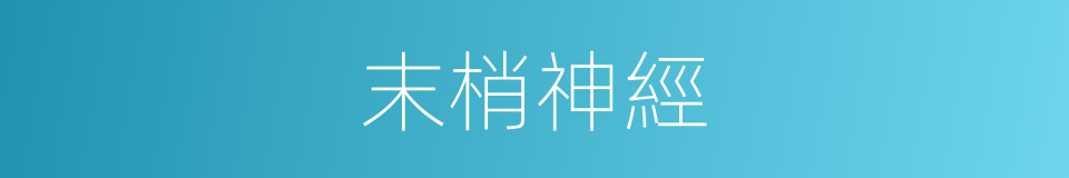 末梢神經的意思