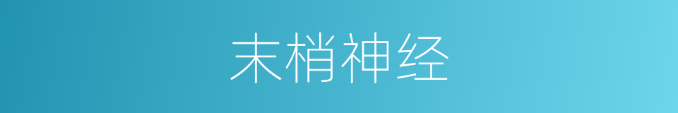 末梢神经的意思