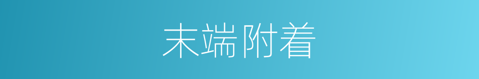 末端附着的同义词